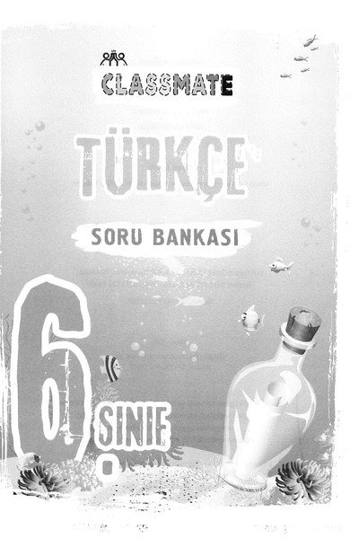 CLASSMATE TÜRKÇE SORU BANKASI