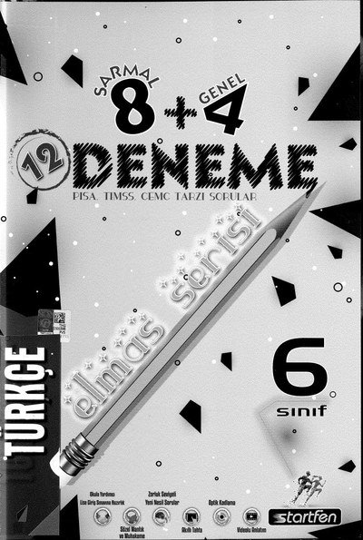 12 DENEME ELMAS SERİSİ TÜRKÇE SegaCopy Fotokopi Merkezi