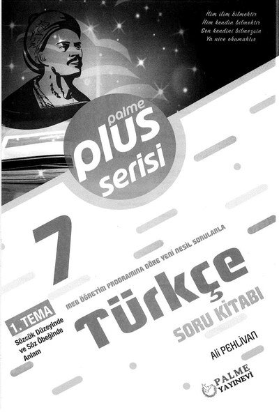 PLUS SERİSİ TÜRKÇE SORU KİTABI