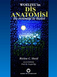 Diş Anatomisi Diş Hekimliği ile İlişkisi, Woelfel, Rickne Sheid, Sezgin İlgi SegaCopy Fotokopi Merkezi