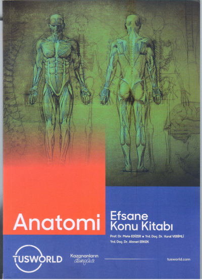 Anatomi Efsane Konu Kitabı Tusworld SegaCopy Fotokopi Merkezi