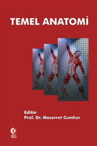 Temel Anatomi ODTÜ Yayıncılık Akademi SegaCopy Fotokopi Merkezi