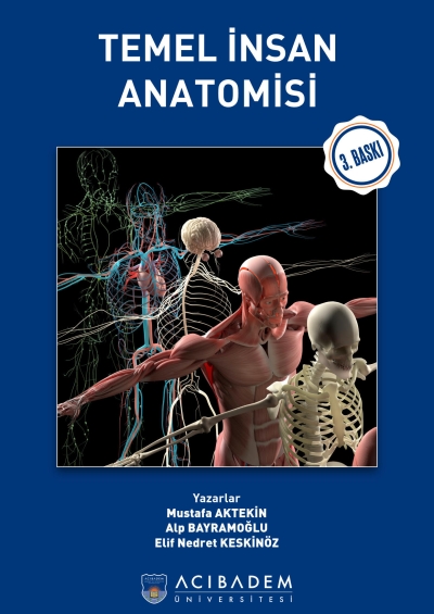 Temel İnsan Anatomisi Acıbadem Üniversitesi SegaCopy Fotokopi Merkezi